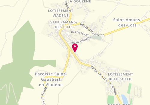 Plan de Viadène Auto, 7 Route du Nayrac, 12460 Saint-Amans-des-Cots
