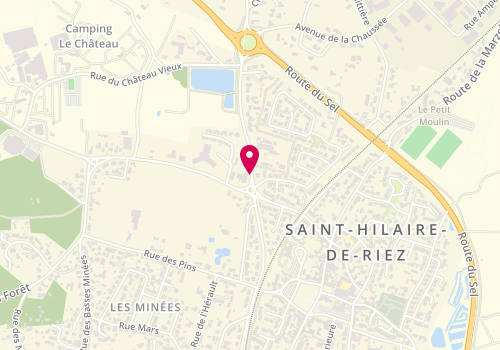 Plan de Garage Delacroix, 25 Avenue de la Rousselotière, 85270 Saint-Hilaire-de-Riez