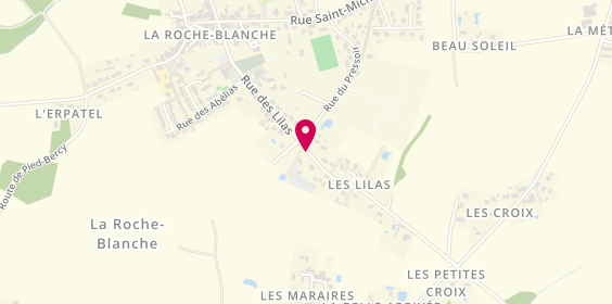 Plan de Garage AD Expert, 205, Rue des Lilas, 44522 La Roche-Blanche
