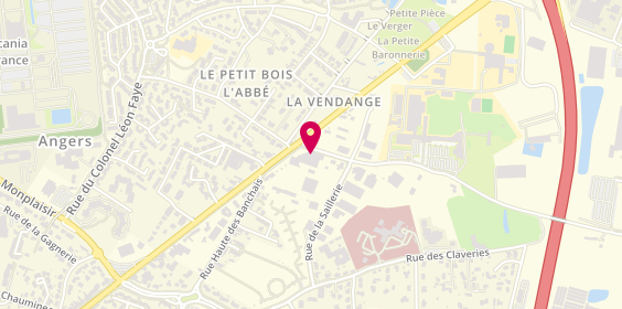 Plan de Carrosserie Delepine - Bosch Car Service, 160 avenue Victor Châtenay, 49124 Saint-Barthélemy-d'Anjou