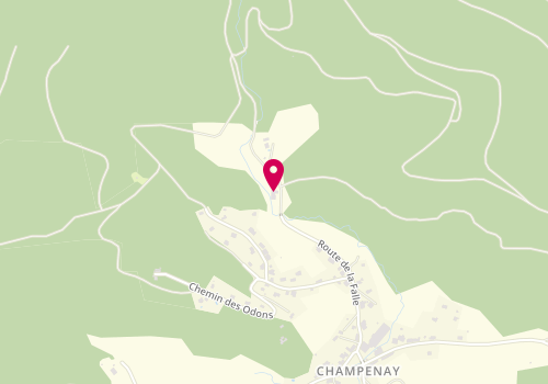 Plan de Ng Perfect Auto, 597 Route de la Falle à Champenay, 67420 Plaine